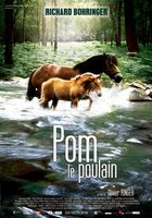 Pom, le poulain