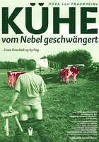 Коровы, забеременевшие от тумана