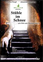 Стулья в снегу