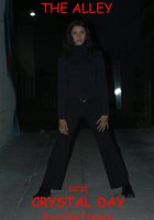 The Alley (видео)