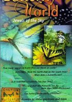 Butterfly World