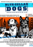 Собаки на службе