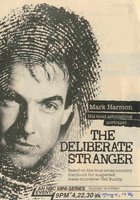 Осторожный незнакомец