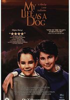 Моя собачья жизнь