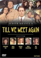 Когда мы встретимся вновь (мини-сериал)