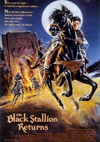 Возвращение черного скакуна