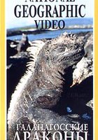 Галапагосские драконы