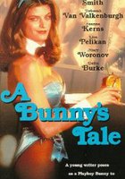 A Bunny's Tale