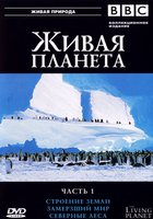 BBC: Живая планета