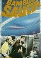 Бамбуковая летающая тарелка