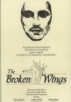 Сломанные крылья