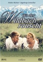 Wo der Wildbach rauscht