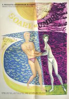 Солнце и тень