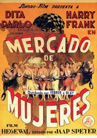 Tänzerinnen für Süd-Amerika gesucht