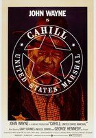 Жестяная звезда