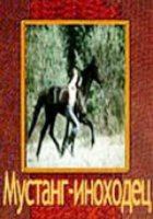 Мустанг-иноходец