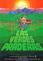 Зеленые лужайки