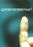 Думают ли животные?