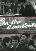 За все в ответе