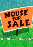 Мышонок из зоомагазина