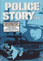 Полицейская история