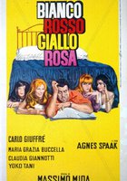 Бело-красно-жёлтая роза