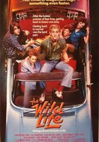 Без тормозов