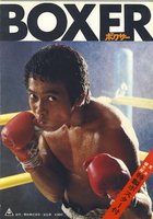 Боксер