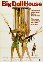 Дом большой куклы