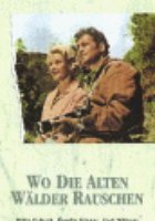 Wo die alten Wälder rauschen