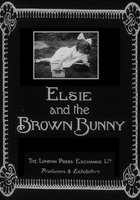 Элси и бурый кролик