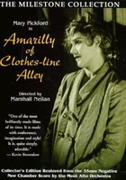 Амарилли с аллеи Клозес-Лайн