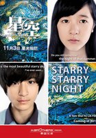 Звездная, звездная ночь