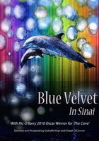 Conflicting Interests