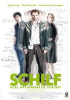 Schilf