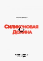 Силиконовая долина