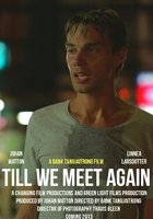 Till We Meet Again