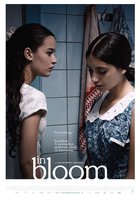 Длинные светлые дни