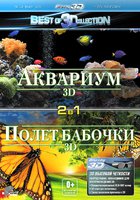 Полет бабочки 3D (видео)