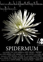 Spidermum