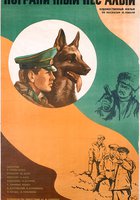 Пограничный пес Алый