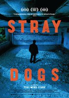 Бродячие псы