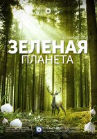 Зеленая Вселенная