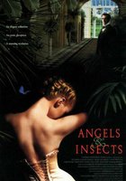 Ангелы и насекомые