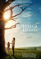 Чудеса с небес