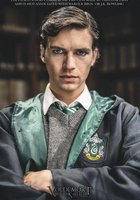 Voldemort: Origins of the Heir