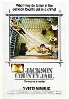 Тюрьма округа Джексон
