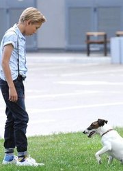 Фокстер и Макс