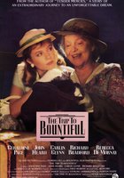 Поездка в Баунтифул