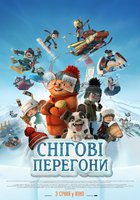 Снежные гонки